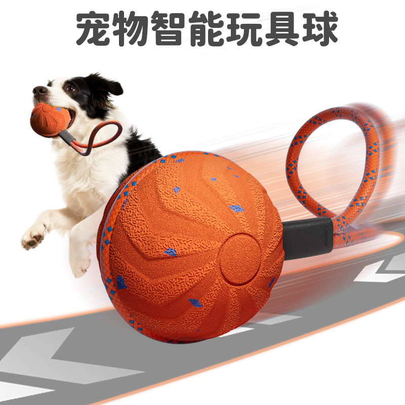 带绳宠物智能电动逗狗球