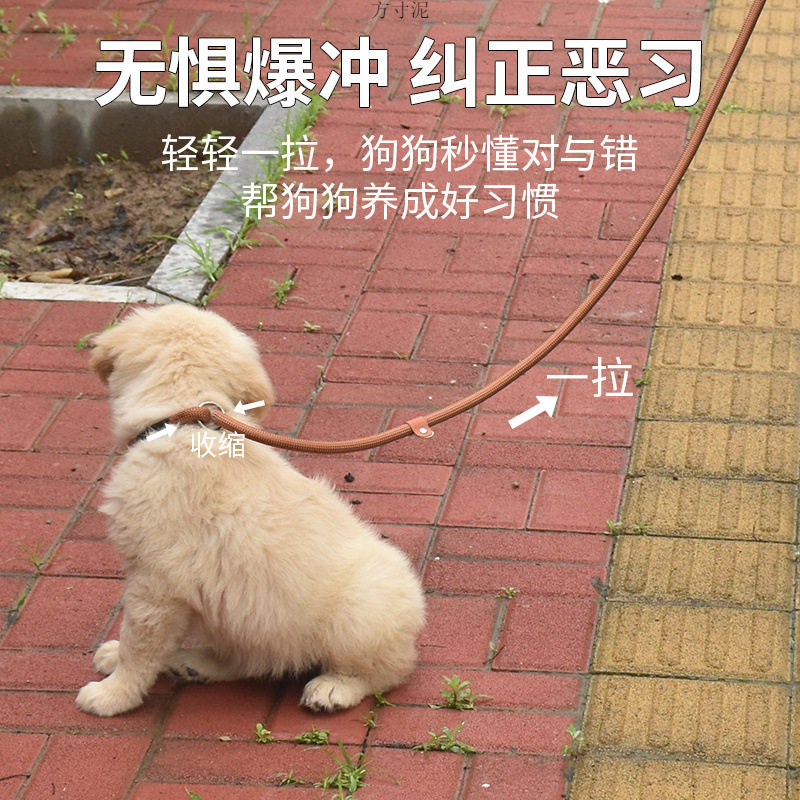 狗绳训犬p链冲遛狗绳拉布拉多狗链中型犬p绳大型犬狗狗牵引绳