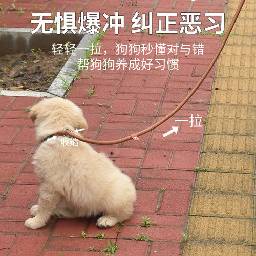 狗绳训犬p链冲遛狗绳拉布拉多狗链中型犬p绳大型犬狗狗牵引绳