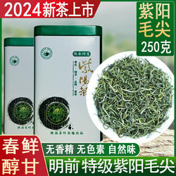 陕南紫阳毛尖绿茶2024新茶明前安康富硒茶特级翠峰茶浓香耐泡250g