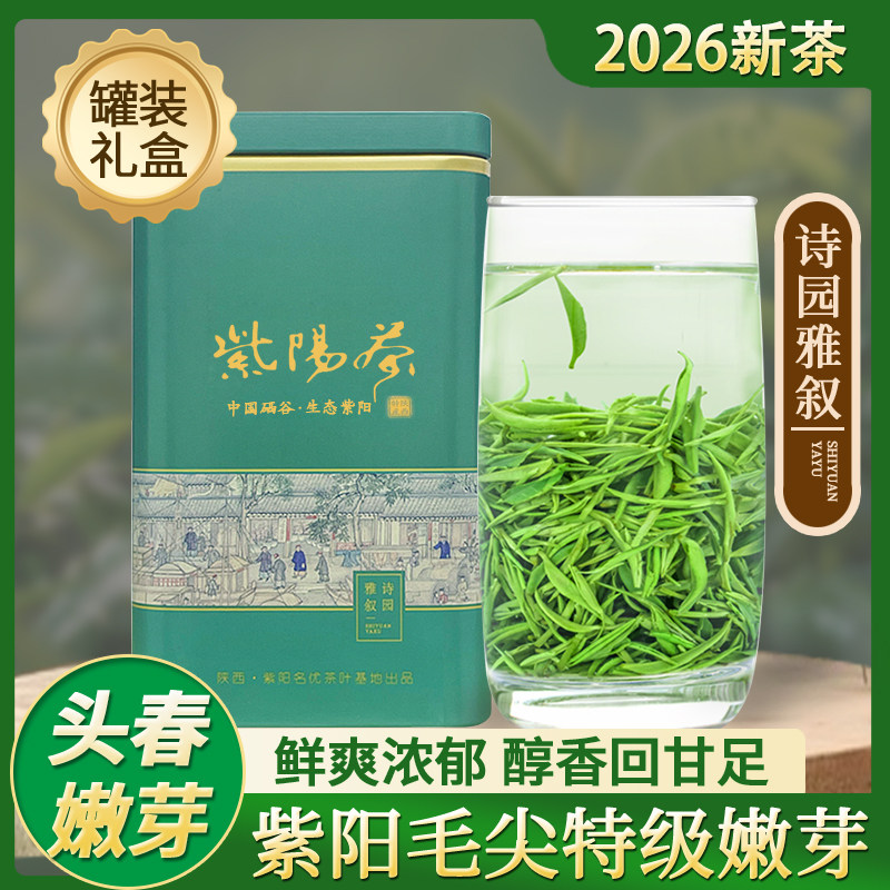 紫阳毛尖明前特级嫩芽绿茶2026新茶陕西安康紫阳富硒茶陕青春茶叶