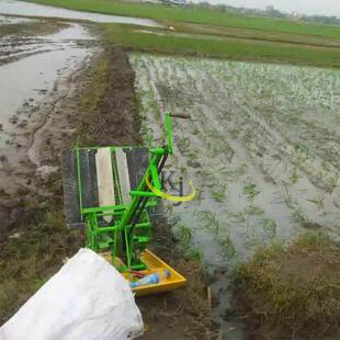 现货 玉米播种种植栽秧机 玉米播种种植栽秧机 双行步退式插苗机