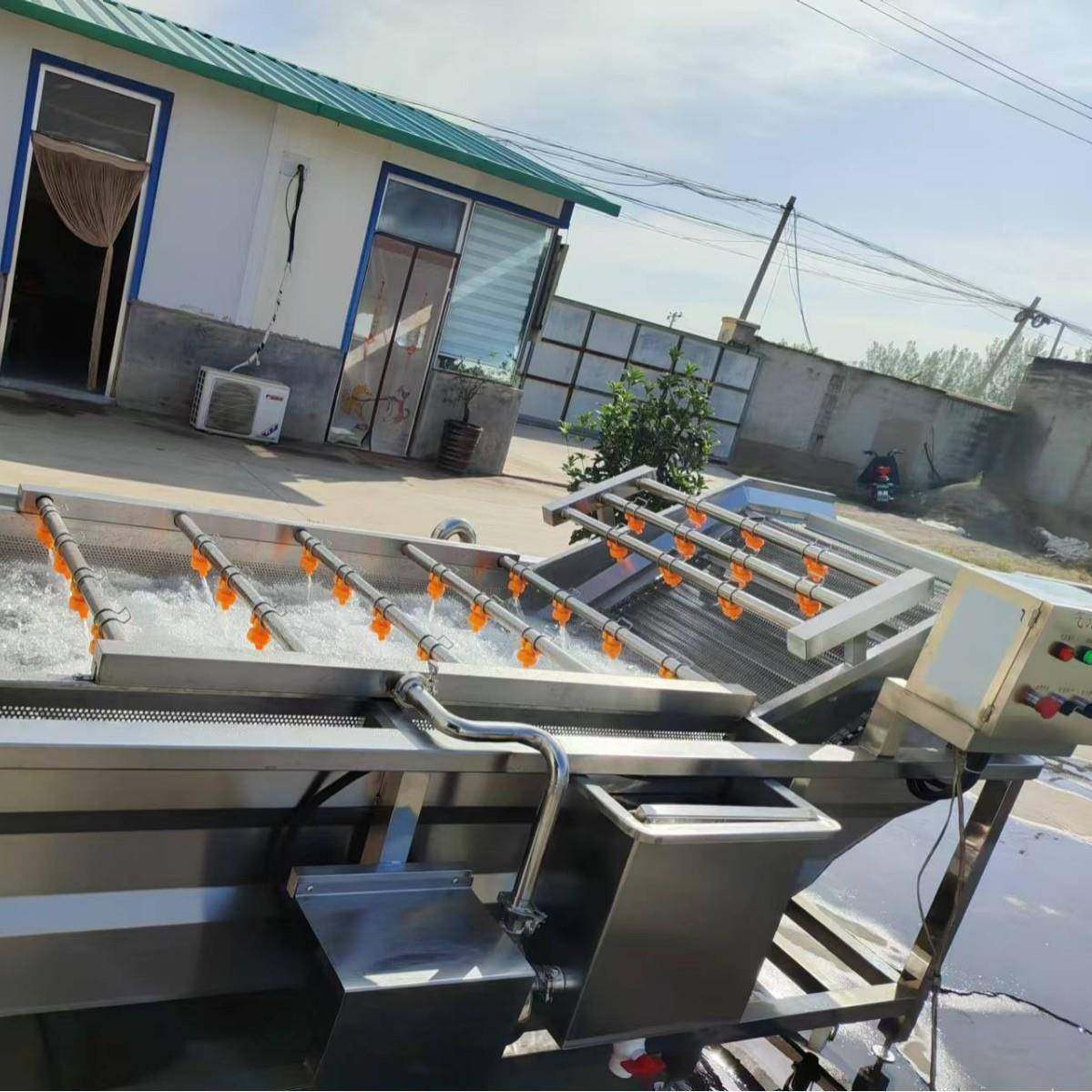 净菜加工设备山野菜清洗流水线 半成品预制菜加工预 处理设备,清洗/食品/商业设备,果蔬加工设备,淘宝优惠券,粉丝福利购,淘宝优惠卷