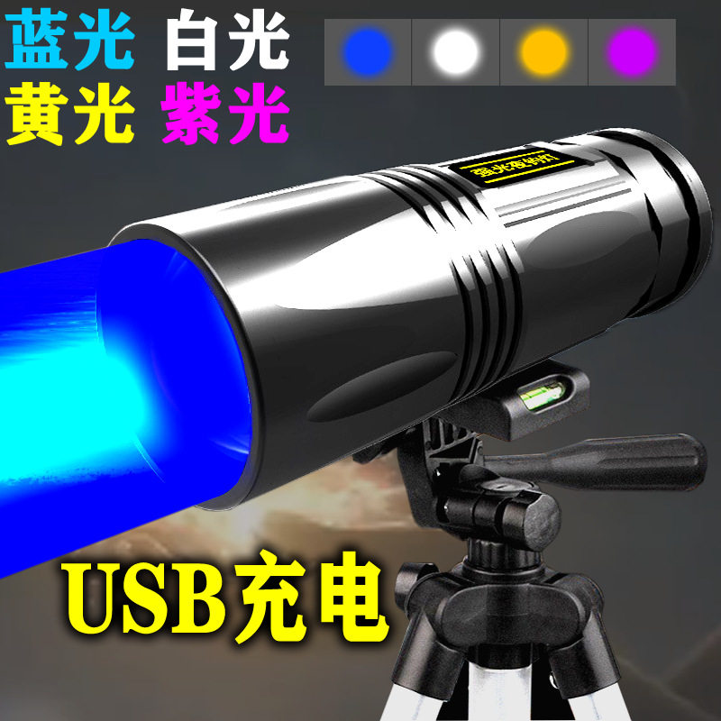 强光夜钓灯钓鱼灯变焦蓝白紫黄光大功率夜光台钓手电筒