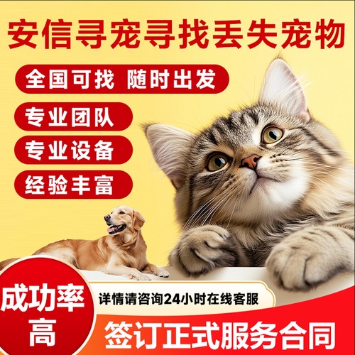专业找猫成功率高找不到不收费