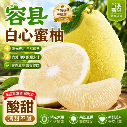 容县白心蜜柚皮薄多汁
