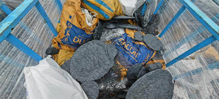 3月9日中山聚丙烯胶粒边角料一批网络拍卖公告