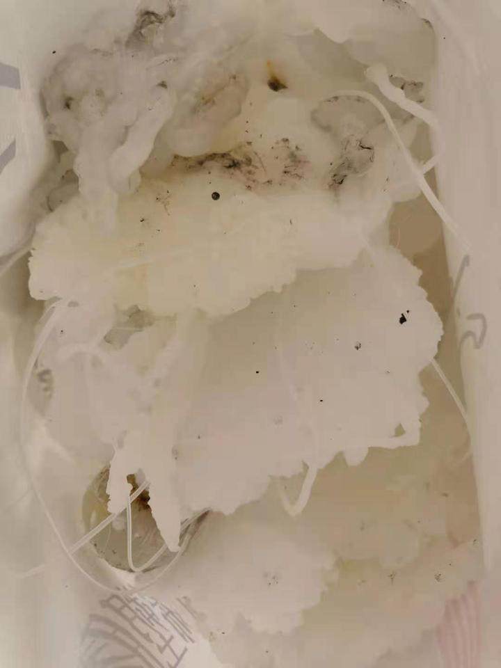 1月15日福州聚丙烯边角料网络拍卖公告