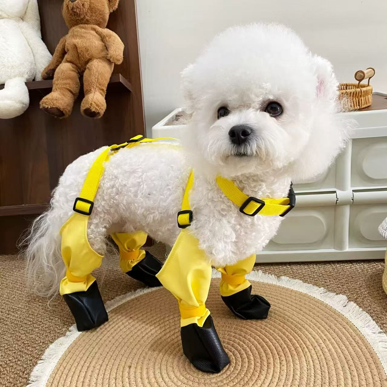 宠物狗狗外出遛弯防脏不
