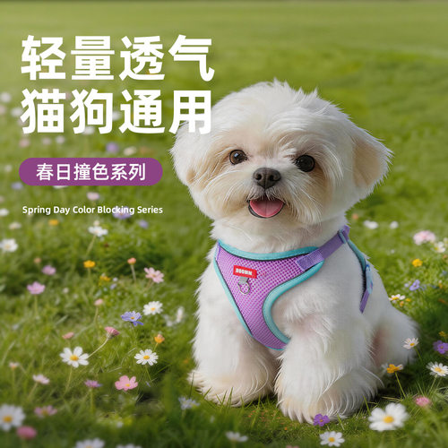 狗狗牵引绳背心式宠物胸