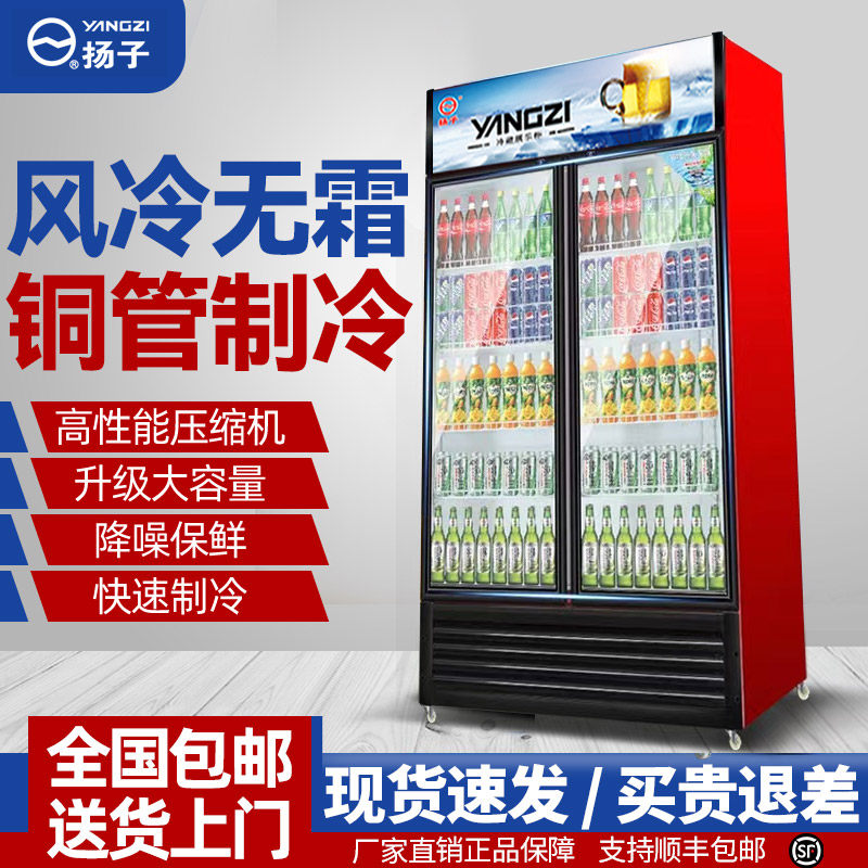 扬子铜管双开门饮料展示柜冷藏冰柜保鲜冷饮冷柜商用啤酒冰箱立式