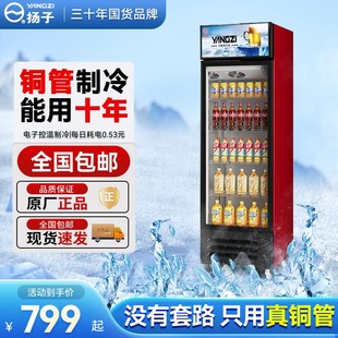 商用单门保鲜柜冷柜双门啤酒柜超市 扬子纯铜饮料柜冷藏展示柜立式