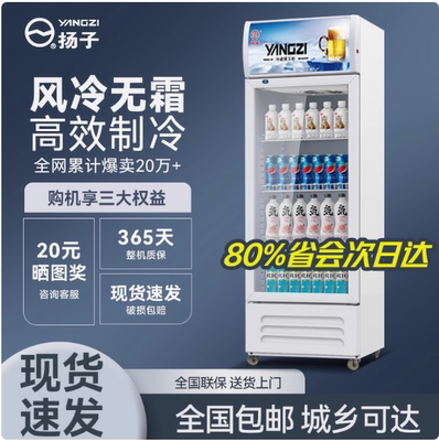 扬子单门风冷饮料展示柜冷藏冰柜保鲜柜冷饮冷柜商用啤酒冰箱立式