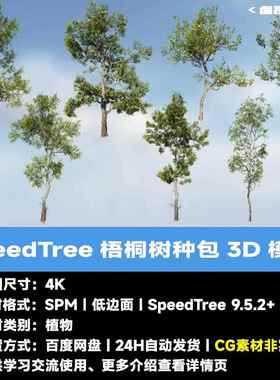 SpeedTree梧桐树物种包3D模型植物软件树木工程LowPoly游戏版UE