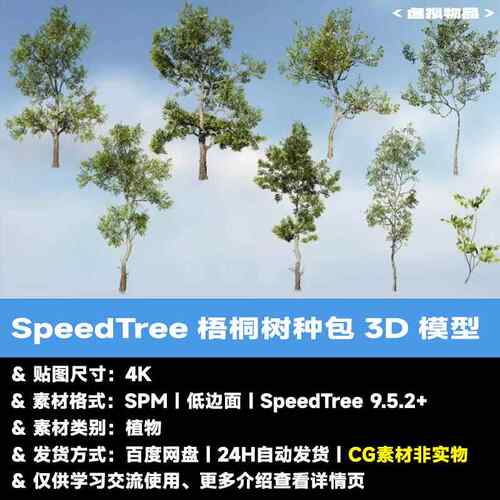 SpeedTree梧桐树物种包3D模型植物软件树木工程LowPoly游戏版UE
