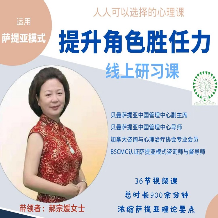 郝宗媛运用萨提亚模式提升角色胜任力视频内在动力冰山心理课程