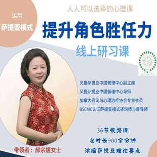 郝宗媛运用萨提亚模式提升角色胜任力视频内在动力冰山心理课程