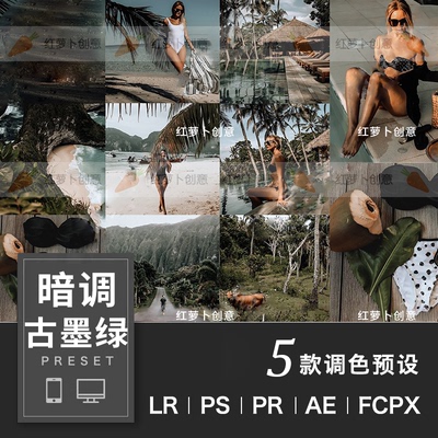 复古海边旅行风光LR预设