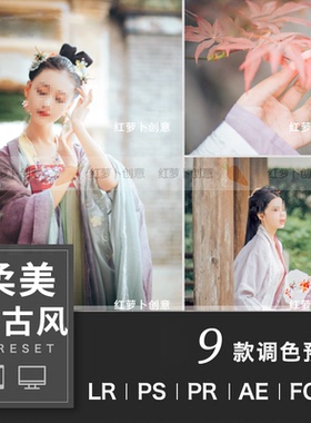 LR预设PS调色仙气古风汉服古装人像LUT达芬奇FCPX手机版APP滤镜PR