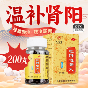 九芝堂桂附地黄丸中成药200浓缩丸温补肾阳正品官方旗舰店大蜜丸