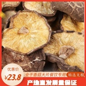 大香菇餐饮专用 全干肉厚无根散装 西峡干香菇新货大片香菇一斤 包邮