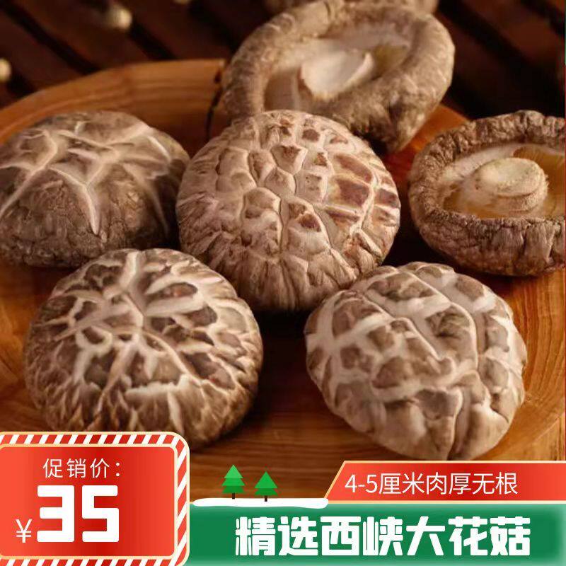 西峡特产大花菇4-5厘米包邮精选