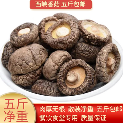 全干西峡香菇五斤散装净重冬菇