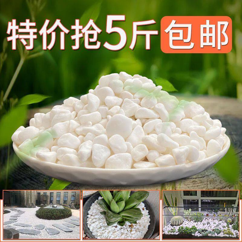 鹅卵石天然雨花石小白石子多肉铺面石盆栽花盆养花水培白色石头