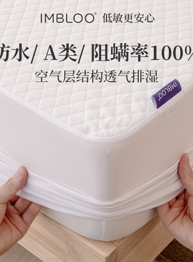 IMBLOO防水防螨床笠罩单件隔尿席梦思床垫保护罩床套A类可定制