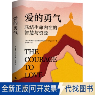 美 斯蒂芬·吉利根 爱 社2023 勇气 9787573011367海南出版 全新正版 StephenGilligan