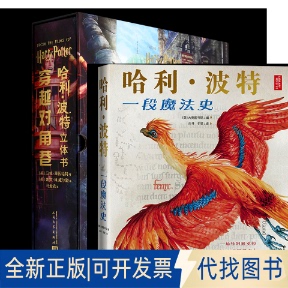 马修·莱因哈特 著 穿越对角巷立体书和一段魔法史 社2021 美 译等9787020133390人民文学出版 全新正版 马爱农