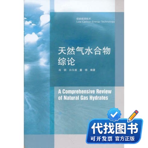 新书正版天然气水合物综论肖钢,白玉湖,董锦 著9787040340099高等教育出版社2012-05-01