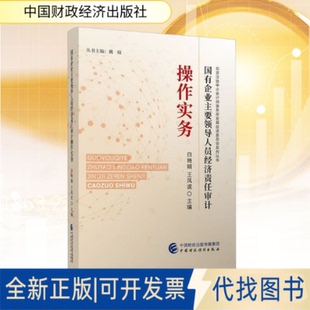 全新正版国有企业要领人员经济责任审计操作实务白艳娟,王凤波 编9787522337388中国财政经济出版社2025-07-01