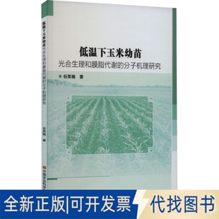 全新正版低温下玉米幼苗光合生理和膜脂代谢的分子机理研究谷英楠9787511660442中国农业科学技术出版社2022-11-01