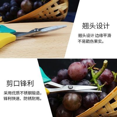不锈钢翘嘴葡萄剪刀园艺园林工具剪弯头修果修枝盆栽蔬果锋利专用