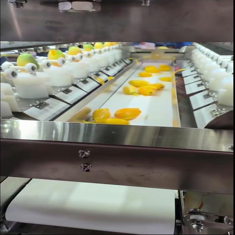 全自动芒果去皮机芒果削皮机萝卜芋头去皮机猕猴桃去皮机脱皮机