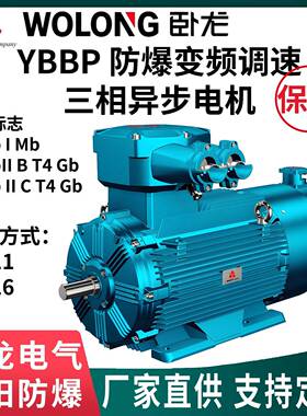 南阳防爆集团YBBP低压防爆变频调速三相异步电机F/H绝缘IC411/416