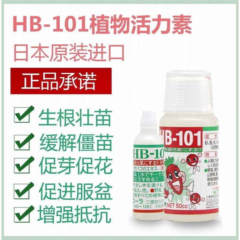 日本原装进口hb-101植物活力素多肉爆芽素月季兰花生根液水溶肥料