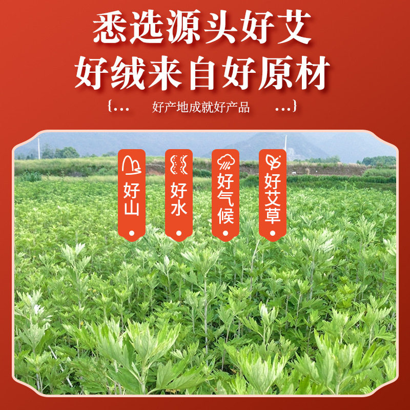 黄金艾绒柱红花陈年手工