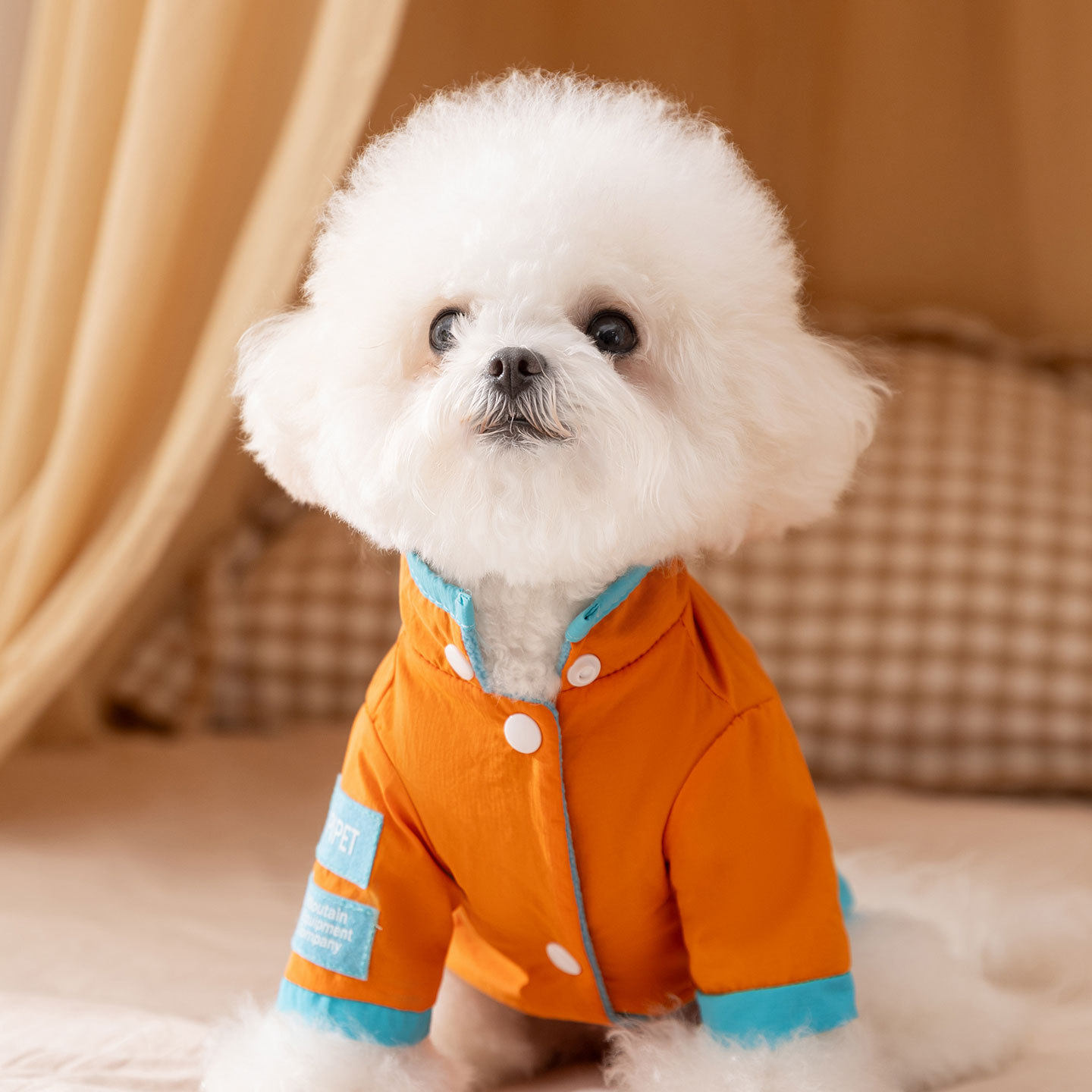 狗狗衣服秋冬季保暖加绒