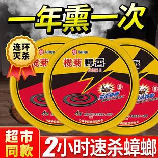 榄菊蟑螂药强效家用强力灭蟑香烟熏室内除蟑一窝端厨房饭店一次净