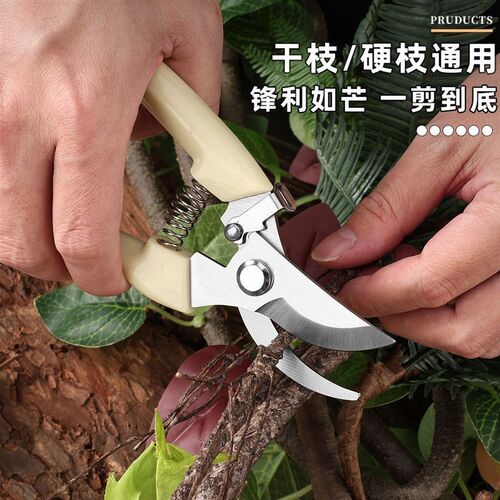 花艺剪子盆景枝剪省力修枝不费力园艺修花果树嫁接园林剪工具花草