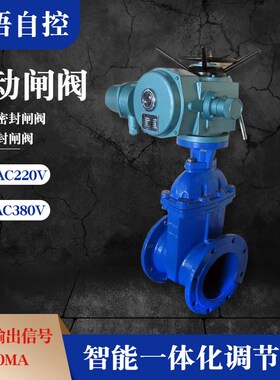 Z945X-10/16Q电动法兰闸阀弹性软密封暗杆闸阀市政污水电动阀dn80