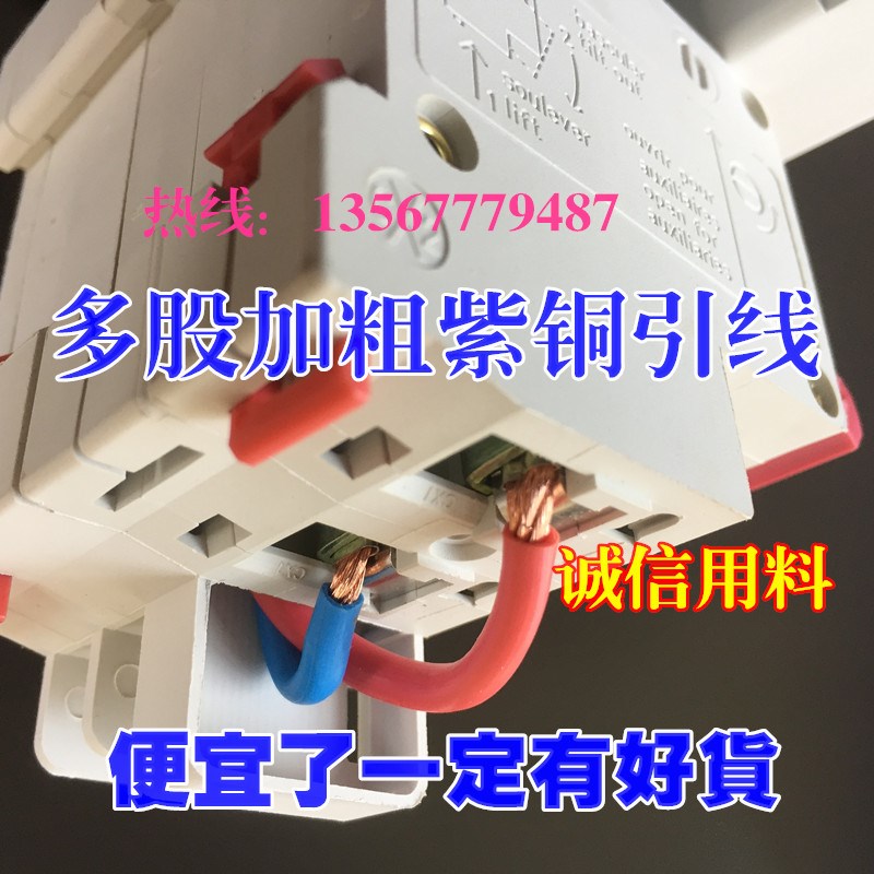 大壳大孔DZ47gLE63A 1P 2P 3P 4P家用保护断路器漏电保护器开关32