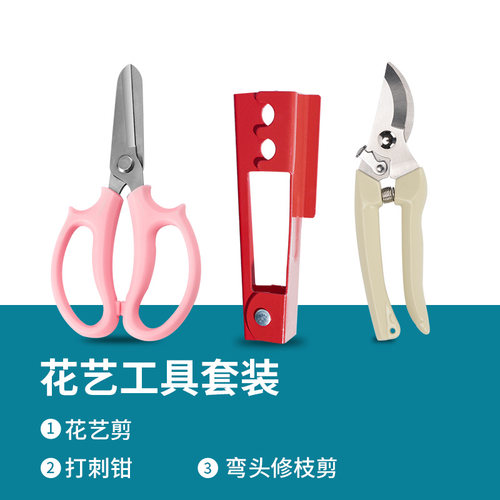 不锈钢修枝剪果树园艺花艺果园花材工具家用修枝剪花专用剪刀套装