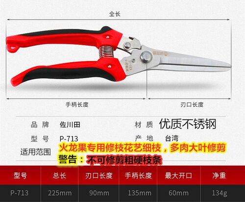 佐川田进口钢加长火龙果专用修枝剪枝条家用花草不锈钢平口剪刀