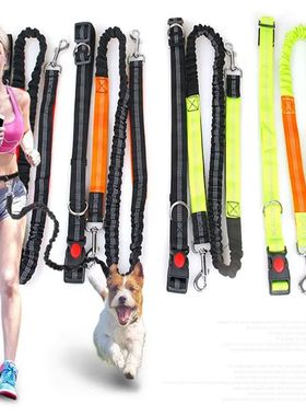 Correa de tracción retráctil con manos libres para perro,