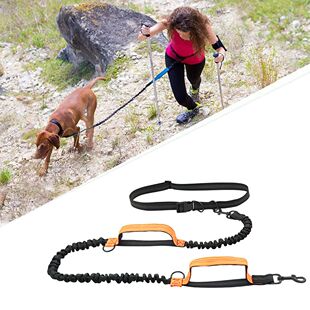Correa retráctil de manos libres para perro, accesorio para