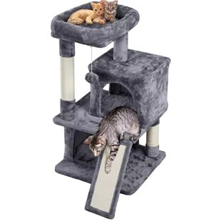 árvore de gato com condomínio e arranhando Post Tower, Scr