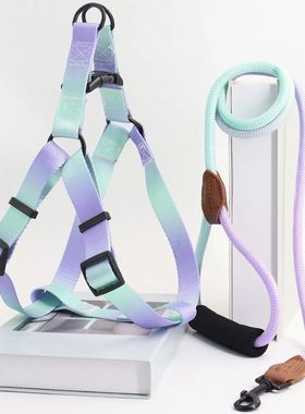 Juego de arnés colorido para mascotas con correa y correa p